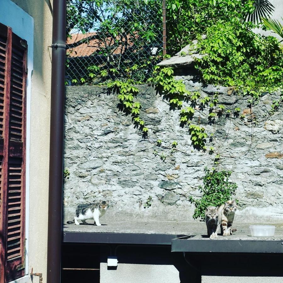 House Of Cats Apartment โดมาโซ ภายนอก รูปภาพ