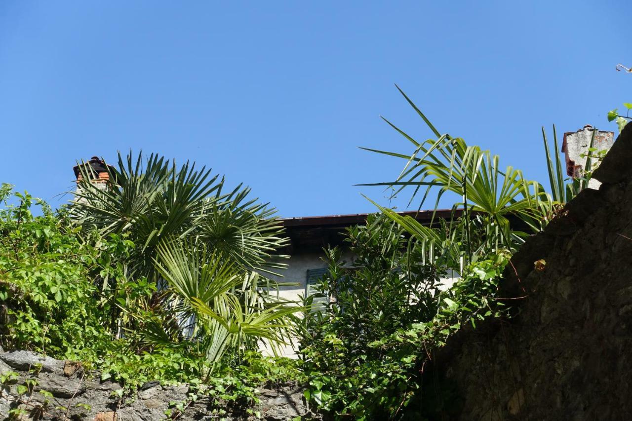 House Of Cats Apartment โดมาโซ ภายนอก รูปภาพ
